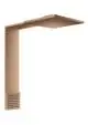 AXOR-HG-AXOR-ShowerComposition-Brausenmodul-250-250-2jet-mit-Schulterbrause-Brushed-Red-Gold-12594310 gallery number 1